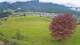 Abtenau 29.04.2025 19:17
