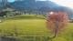 Abtenau 30.04.2025 19:17