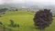 Abtenau 08.06.2025 19:17