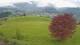 Abtenau 22.03.2025 19:17