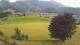 Abtenau 14.06.2025 19:17