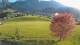 Abtenau 29.04.2025 19:17