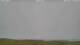 Carinish 09.07.2025 19:18