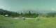 Cordon 08.06.2025 19:18