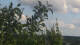 Melle 02.07.2025 19:20