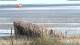 Wyk auf Föhr 11.07.2025 19:20