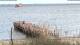 Wyk auf Föhr 14.07.2025 19:28