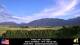Joseph, Oregon 02.07.2025 19:48