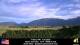 Joseph, Oregon 05.07.2025 19:48