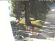 Neukirchen b.Hl.Blut 02.07.2025 19:21
