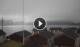Hamnøy 08.05.2025 19:22