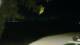 Le Morne 24.05.2025 19:22