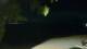 Le Morne 08.06.2025 19:22