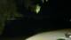 Le Morne 02.06.2025 19:22