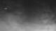 Darwin 30.04.2025 19:53