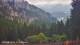 Schwangau 08.07.2025 19:22