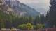 Schwangau 05.07.2025 19:23
