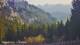 Schwangau 29.04.2025 19:23