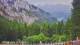 Schwangau 14.06.2025 19:23