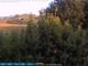 Bolonia 08.06.2025 19:25
