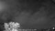 Carrum 08.06.2025 19:25