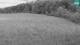 Medvode 10.05.2025 19:26
