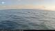 Wilmette, Illinois 12.07.2025 19:31