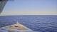 Norwegian Gem 19.03.2025 19:27