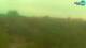 Fažana 04.07.2025 19:27