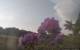 Montbliart 08.06.2025 19:28