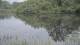 Les Landes-Genusson 12.05.2025 19:28