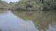 Les Landes-Genusson 14.07.2025 19:32