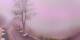 Lourdes 29.04.2025 19:28