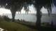 Port Franks 08.07.2025 19:28