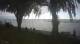 Port Franks 07.07.2025 19:28