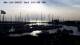 Anholt 14.06.2025 19:29
