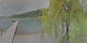 Annenheim 20.05.2025 19:49