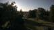 Steinbrunn 13.06.2025 19:30