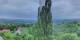Kitzeck im Sausal 25.04.2025 19:31