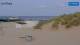 De Cocksdorp (Texel) 08.06.2025 19:31