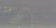 Fremantle 01.05.2025 19:29