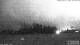 Burnt Pine (Norfolk Island) 12.06.2025 19:32