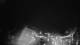 Punta Arenas 08.07.2025 19:32
