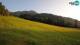 Kranjska Gora 08.06.2025 19:33