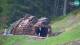 Kranjska Gora 08.05.2025 19:34