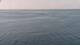 Mein Schiff Relax 24.06.2025 19:34