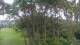 Markgrafenheide 08.06.2025 19:34