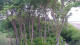 Markgrafenheide 20.05.2025 19:35