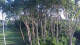Markgrafenheide 14.06.2025 19:34