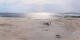 Saint-Pair-Sur-Mer 30.04.2025 19:12